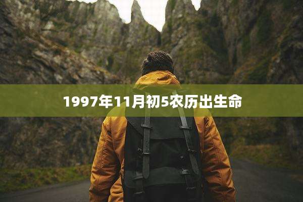 1997年11月初5农历出生命