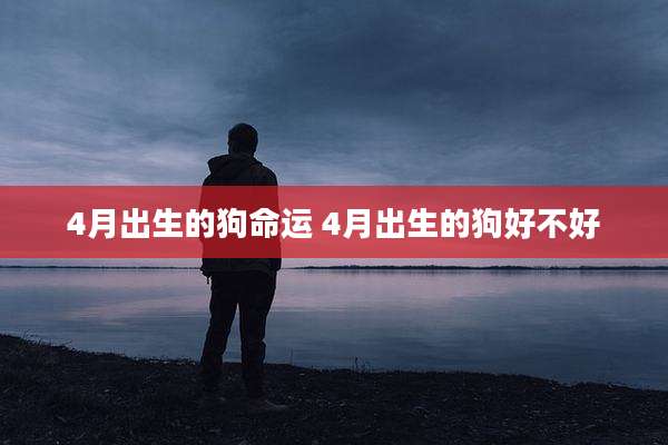 4月出生的狗命运 4月出生的狗好不好