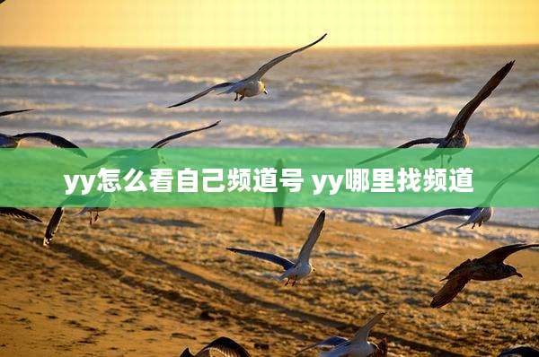 yy怎么看自己频道号 yy哪里找频道