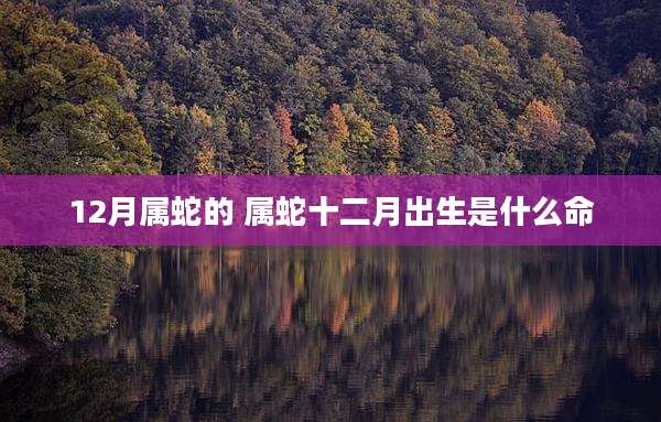 12月属蛇的 属蛇十二月出生是什么命