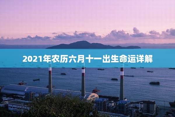 2021年农历六月十一出生命运详解