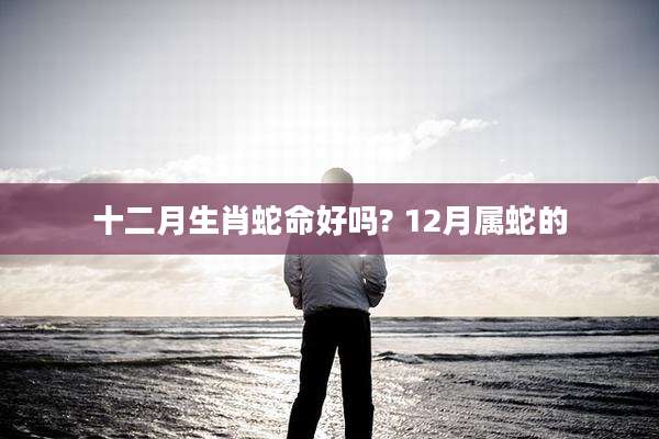 十二月生肖蛇命好吗? 12月属蛇的