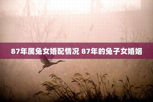 87年属兔女婚配情况 87年的兔子女婚姻