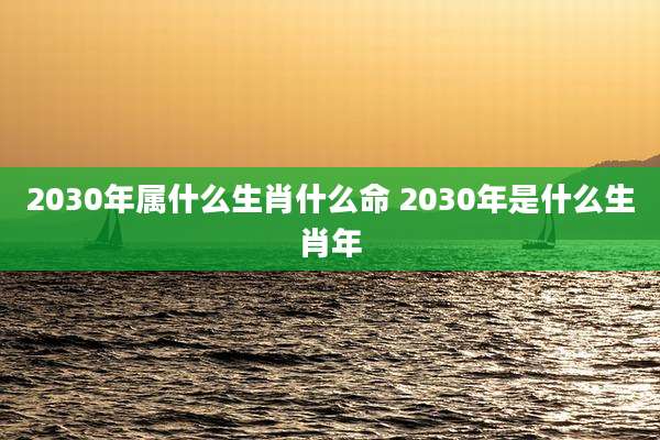 2030年属什么生肖什么命 2030年是什么生肖年
