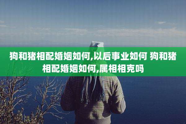 狗和猪相配婚姻如何,以后事业如何 狗和猪相配婚姻如何,属相相克吗