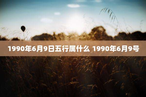 1990年6月9日五行属什么 1990年6月9号