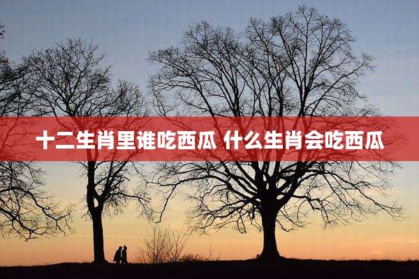 十二生肖里谁吃西瓜 什么生肖会吃西瓜