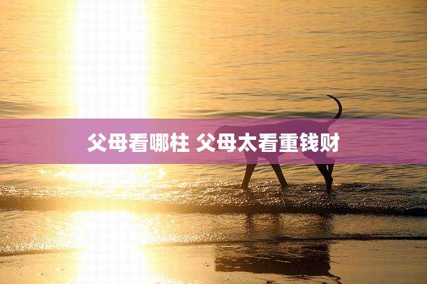 父母看哪柱 父母太看重钱财