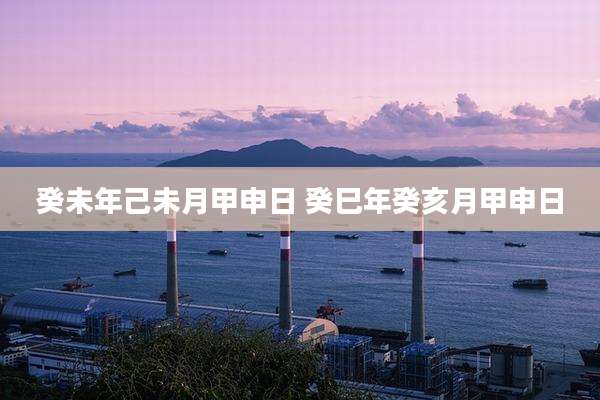 癸未年己未月甲申日 癸巳年癸亥月甲申日