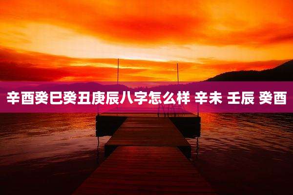 辛酉癸巳癸丑庚辰八字怎么样 辛未 壬辰 癸酉