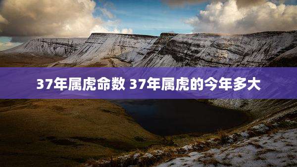 37年属虎命数 37年属虎的今年多大