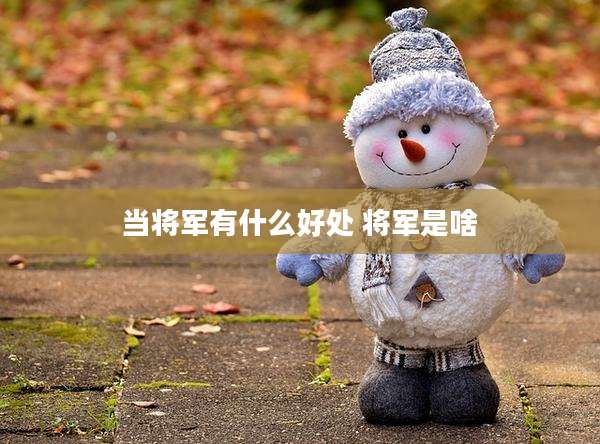 当将军有什么好处 将军是啥