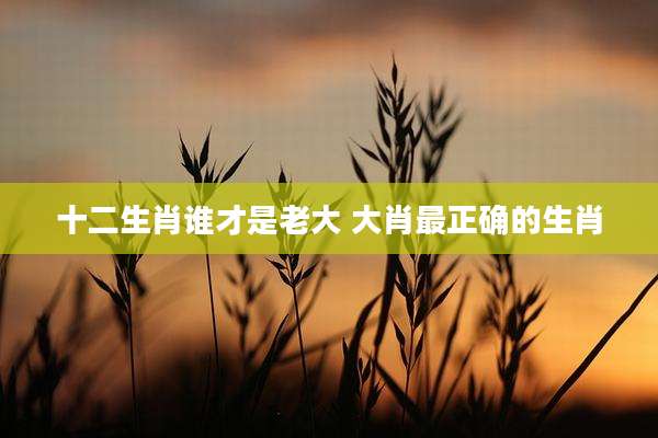 十二生肖谁才是老大 大肖最正确的生肖