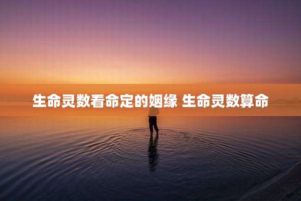生命灵数看命定的姻缘 生命灵数算命