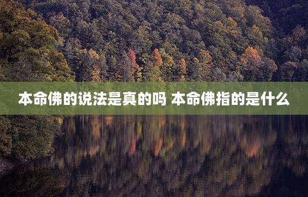 本命佛的说法是真的吗 本命佛指的是什么