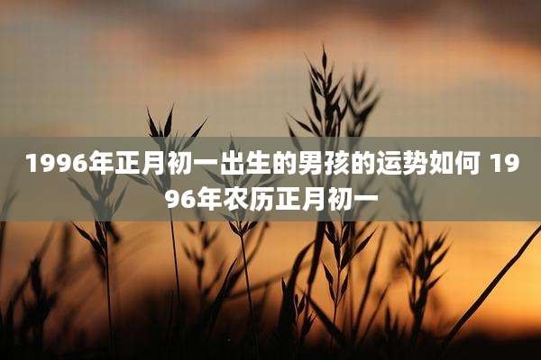 1996年正月初一出生的男孩的运势如何 1996年农历正月初一