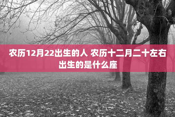 农历12月22出生的人 农历十二月二十左右出生的是什么座