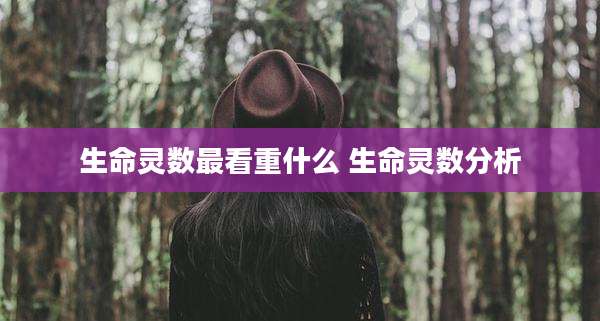 生命灵数最看重什么 生命灵数分析