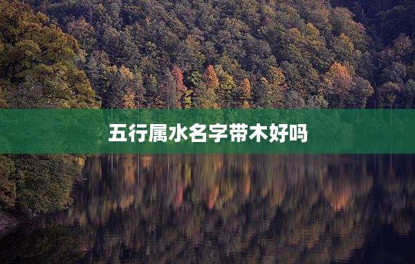 五行属水名字带木好吗