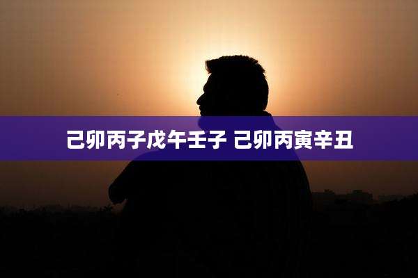 己卯丙子戊午壬子 己卯丙寅辛丑
