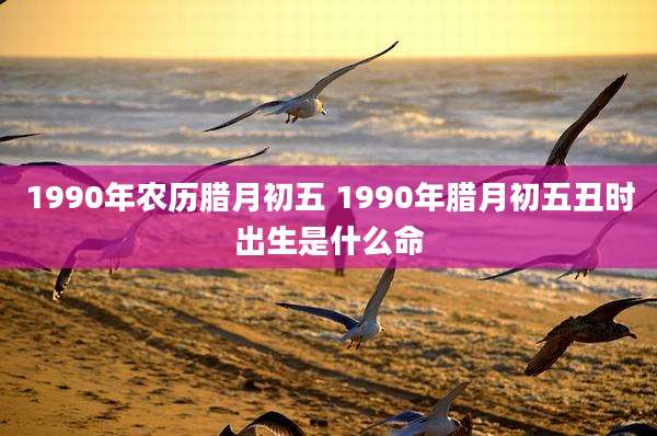 1990年农历腊月初五 1990年腊月初五丑时出生是什么命