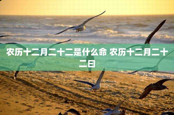 农历十二月二十二是什么命 农历十二月二十二曰