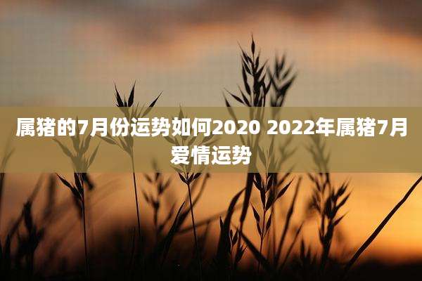 属猪的7月份运势如何2020 2022年属猪7月爱情运势