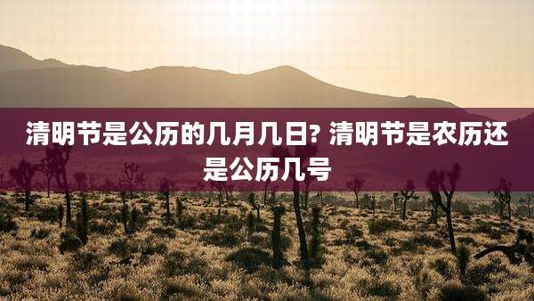 清明节是公历的几月几日? 清明节是农历还是公历几号