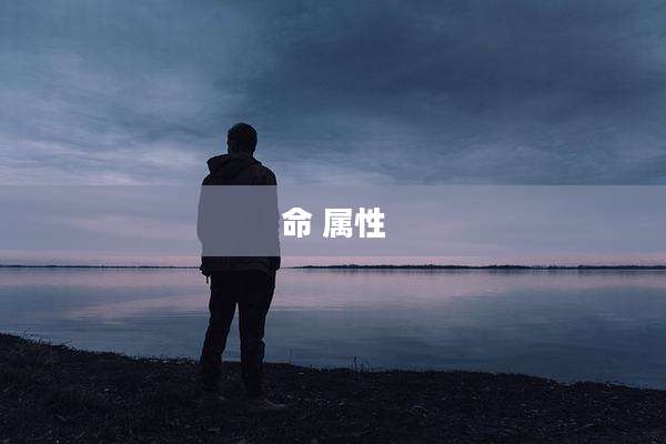 命 属性