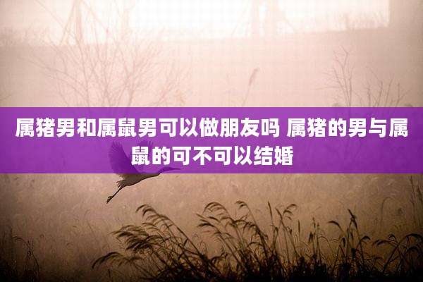 属猪男和属鼠男可以做朋友吗 属猪的男与属鼠的可不可以结婚