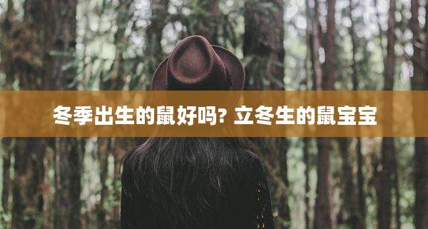 冬季出生的鼠好吗? 立冬生的鼠宝宝