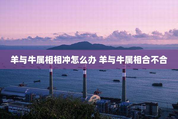 羊与牛属相相冲怎么办 羊与牛属相合不合