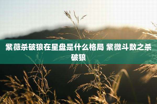 紫薇杀破狼在星盘是什么格局 紫微斗数之杀破狼