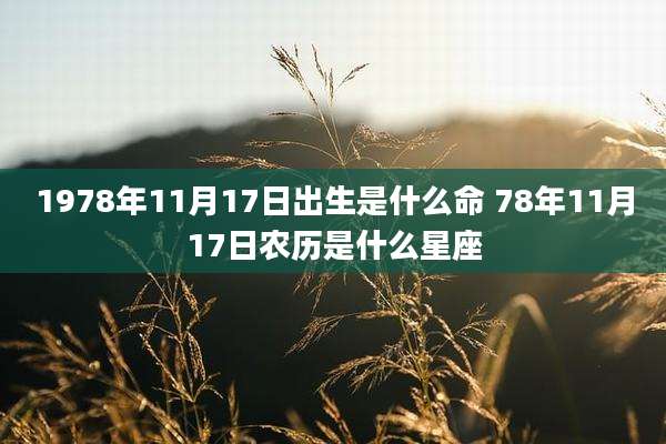 1978年11月17日出生是什么命 78年11月17日农历是什么星座