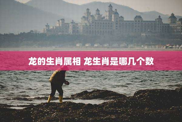龙的生肖属相 龙生肖是哪几个数