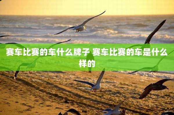赛车比赛的车什么牌子 赛车比赛的车是什么样的
