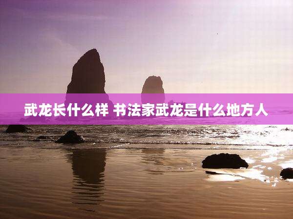 武龙长什么样 书法家武龙是什么地方人