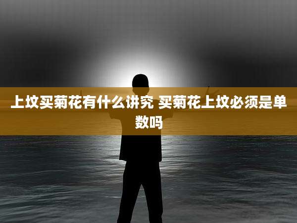 上坟买菊花有什么讲究 买菊花上坟必须是单数吗