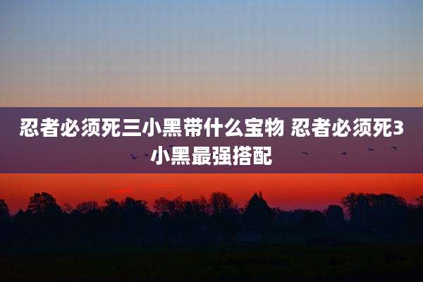 忍者必须死三小黑带什么宝物 忍者必须死3小黑最强搭配