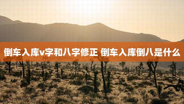 倒车入库v字和八字修正 倒车入库倒八是什么