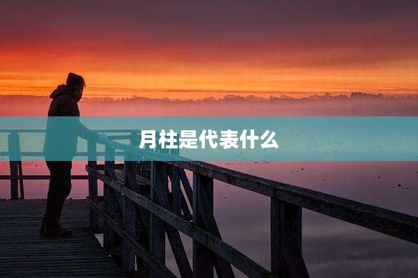 月柱是代表什么