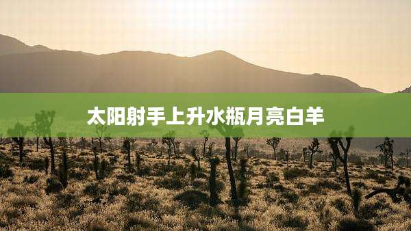 太阳射手上升水瓶月亮白羊