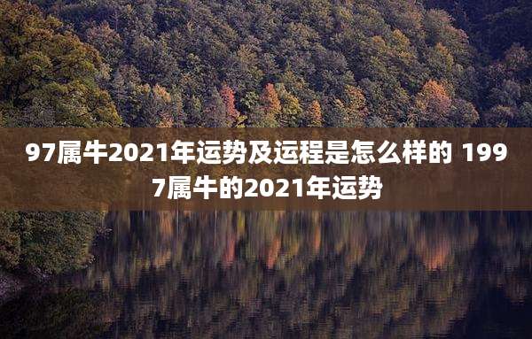 97属牛2021年运势及运程是怎么样的 1997属牛的2021年运势
