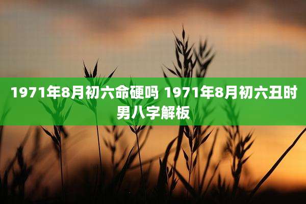 1971年8月初六命硬吗 1971年8月初六丑时男八字解板