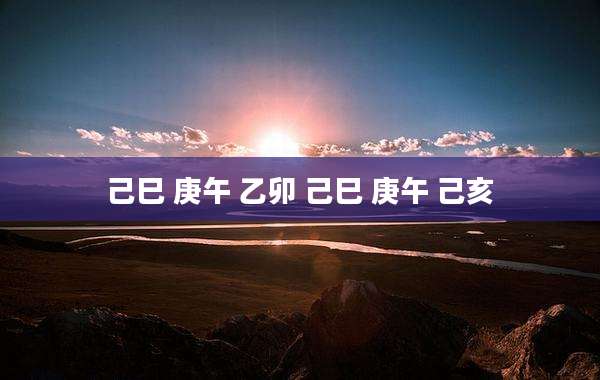 己巳 庚午 乙卯 己巳 庚午 己亥