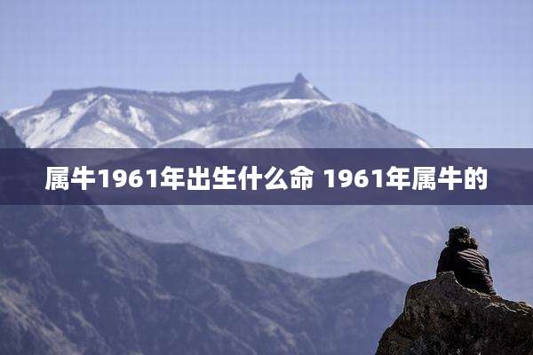 属牛1961年出生什么命 1961年属牛的