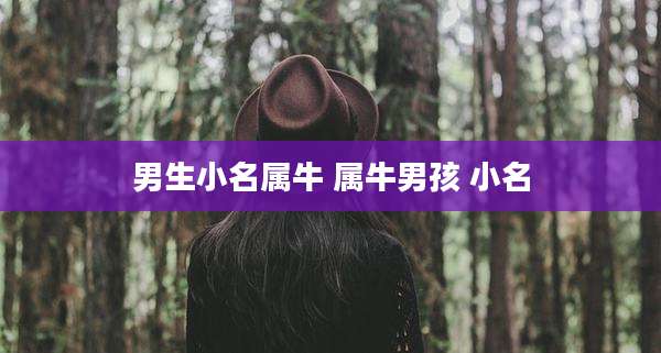 男生小名属牛 属牛男孩 小名