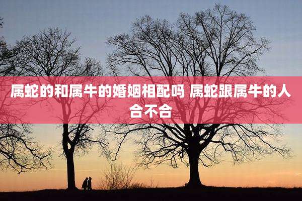 属蛇的和属牛的婚姻相配吗 属蛇跟属牛的人合不合