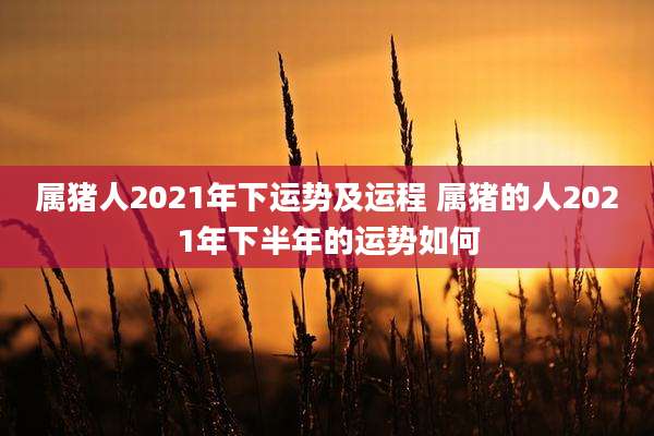 属猪人2021年下运势及运程 属猪的人2021年下半年的运势如何