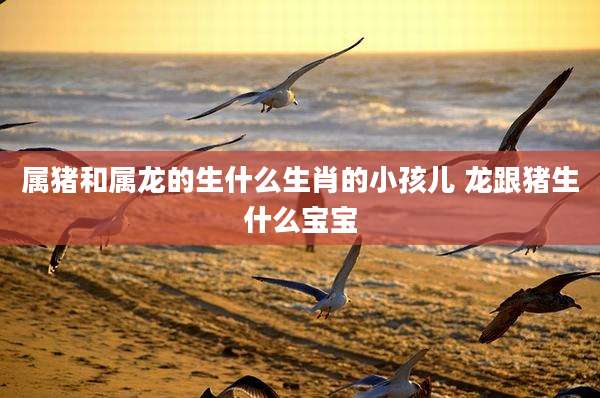 属猪和属龙的生什么生肖的小孩儿 龙跟猪生什么宝宝